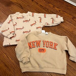 Zara Lot of 2 Sweatshirts